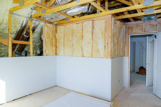 Best Geographic-Specific Insulation Services in Aztec, NM